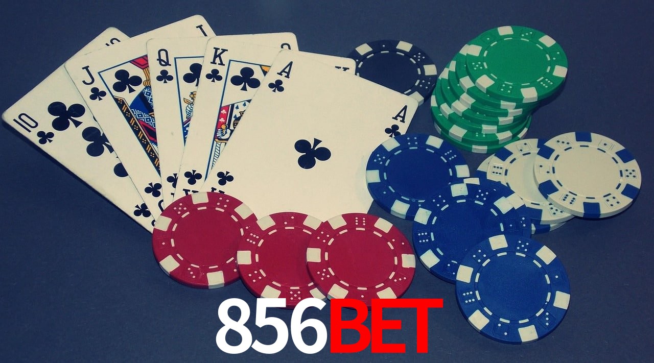 Experiência VIP 856bet