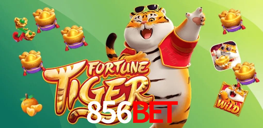 Player Reviews 856bet