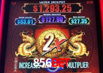 A Experiência Imersiva dos Cassinos Ao Vivo no 856bet