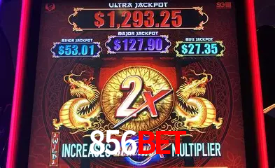 A Emoção da Loteria na 856bet: Uma Chance de Mudança de Vida