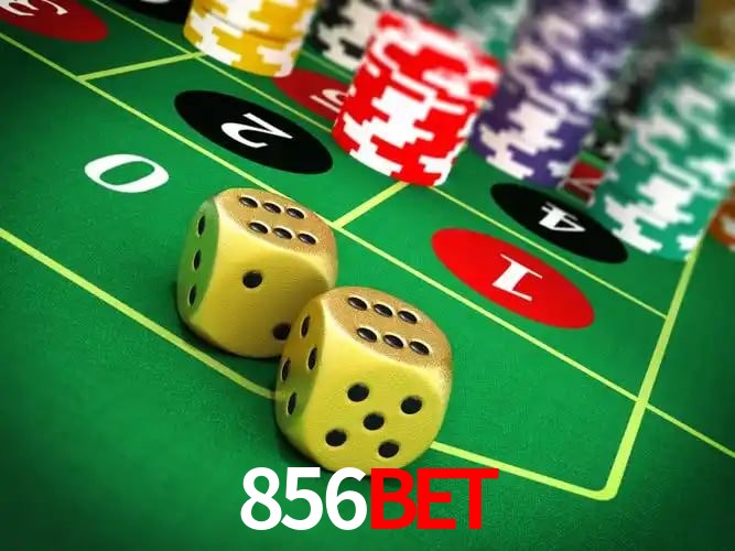 Experiência VIP 856bet