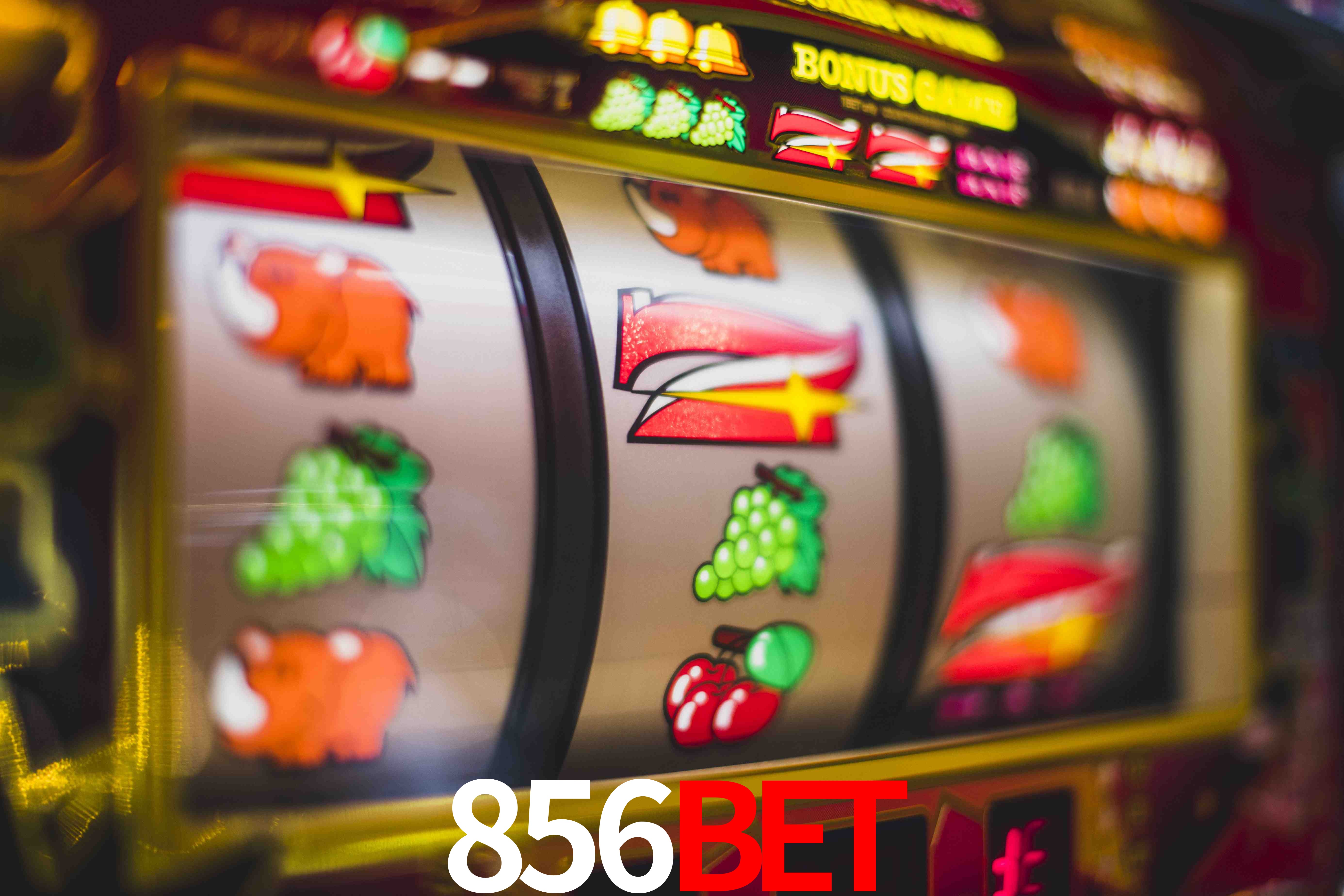 Tennis Betting 856bet